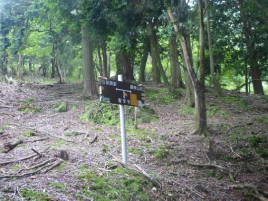 表登山道出会い